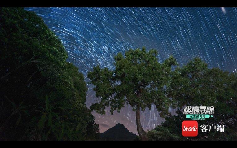 莱西市召开农业品牌培育工作记者见面会