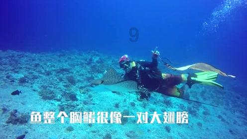安徽天长：做好“廉文章” 营造“廉风尚”